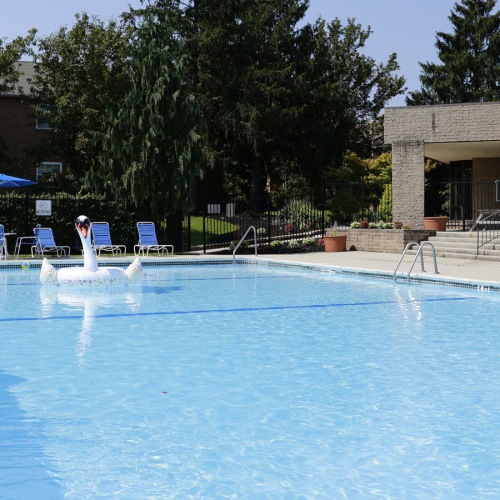 Swimming Pool Spacious sparkling pool with sundecks and cabanas for lounging.